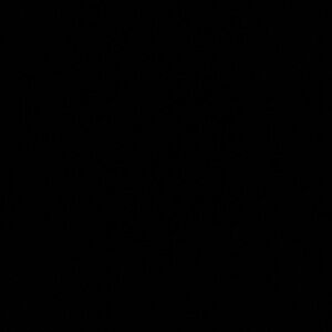 Meet your Posher, Kiley